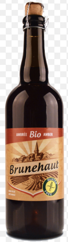BRUNEHAUT AMBREE  12X0.75 6.5%
BE-BIO-01 CERTISYS