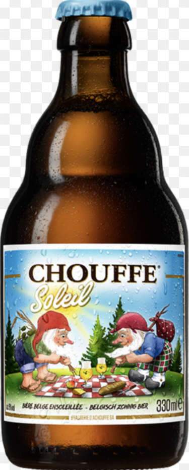 CHOUFFE SOLEIL  6X4X0.33 6%