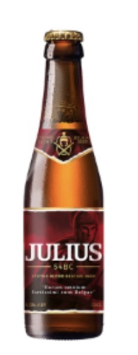 JULIUS  6X4X0.33 8.5%