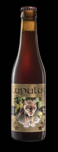 [400489] LUPULUS BRUNE  24X0.33 8.5%
BE-BIO-01 CERTISYS