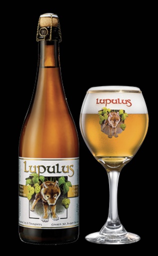 [400494] LUPULUS TRIPLE BLONDE  12X0.75 8.5%