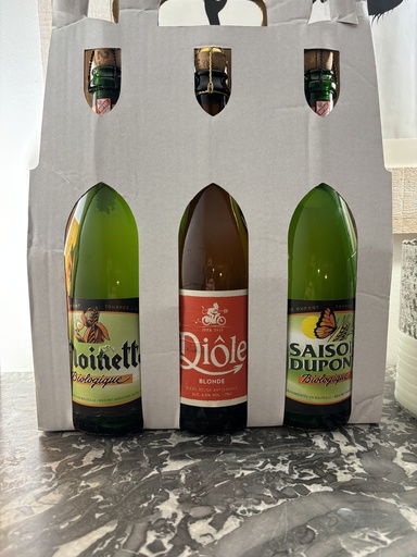 [400853] Carton 3 bouteilles 