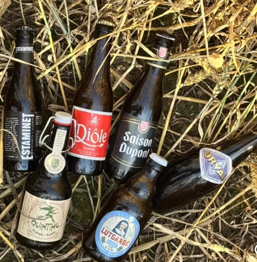 [400855] CASIER DÉCOUVERTE 12 Bières - 1